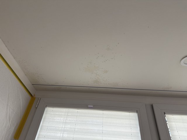 Fleckige Decke über Fensterrahmen, viele kleine dunkle Punkte und Verfärbungen.