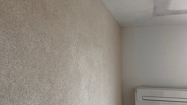 Schimmelbefall an Zimmerecke, Nahaufnahme