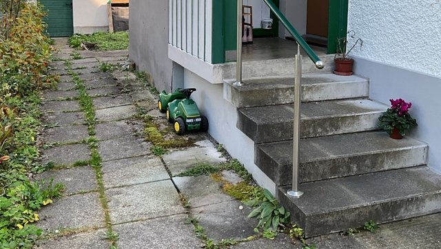 Betonstufen am Hauseingang mit Metallgeländer und gepflastertem Weg