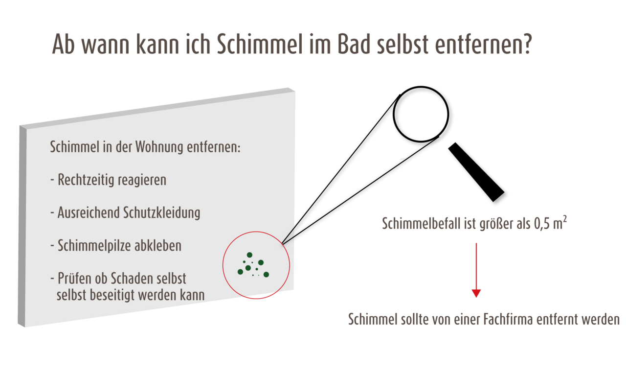 Schimmel selbst entfernen