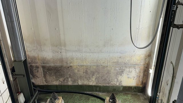 Verschmutzte Kellerwand mit dunklen Verfärbungen am Sockel, Schlauch liegt auf Boden.