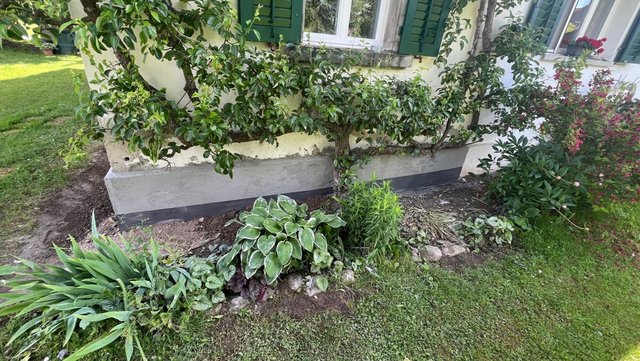 Hausfassade mit grünen Fensterläden, davor Strauch und Blumenbeet am Sockel