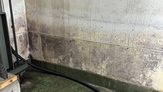 Dunkle Flecken und Verfärbungen an Kellerwand, Schlauch liegt am Boden