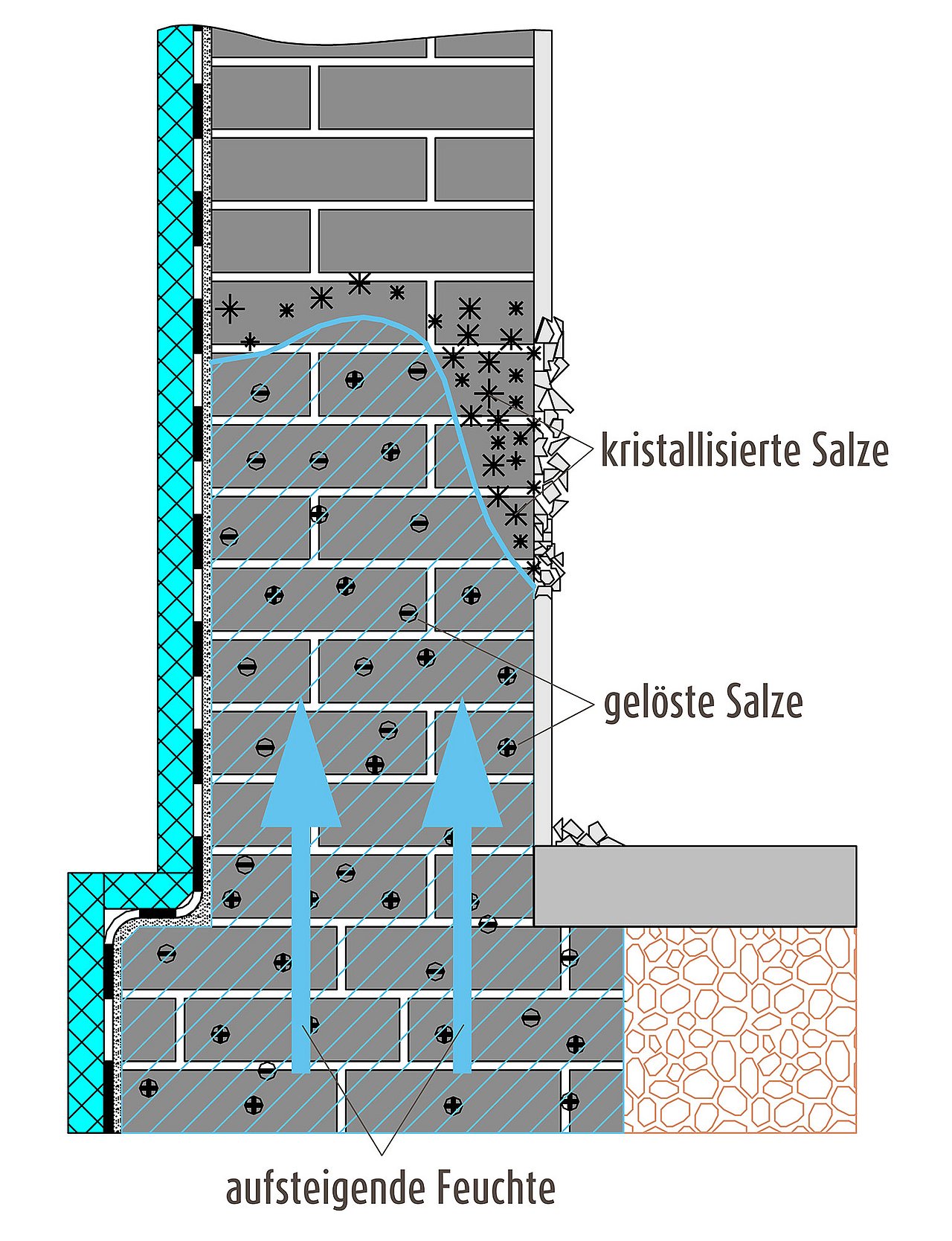 Kapillar aufsteigende Feuchtigkeit