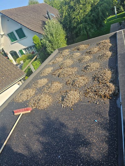 Einfamilienhaus Schöftland