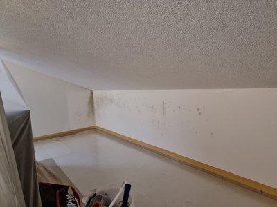 Mehrfamilienhaus Oberhasli