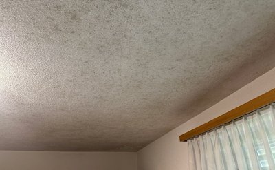 Mehrfamilienhaus Frick