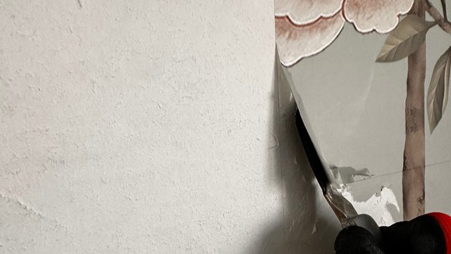 Spachtel löst helle Tapete von Wand mit Blumenmotiv, Nahaufnahme