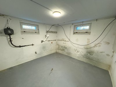 Einfamilienhaus Birsfelden