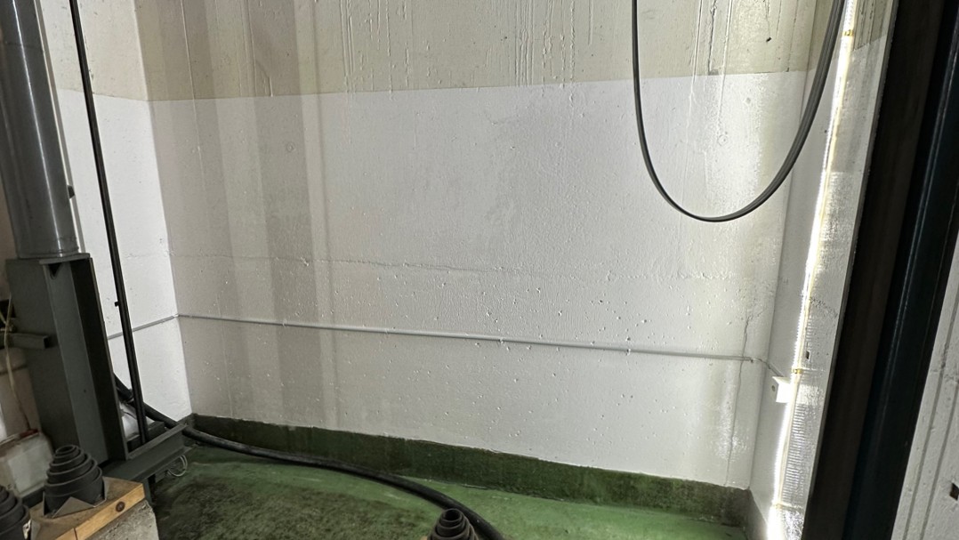 Feuchte Kellerwand mit grünen Verfärbungen am Wandfuß, Technikleitungen daneben.