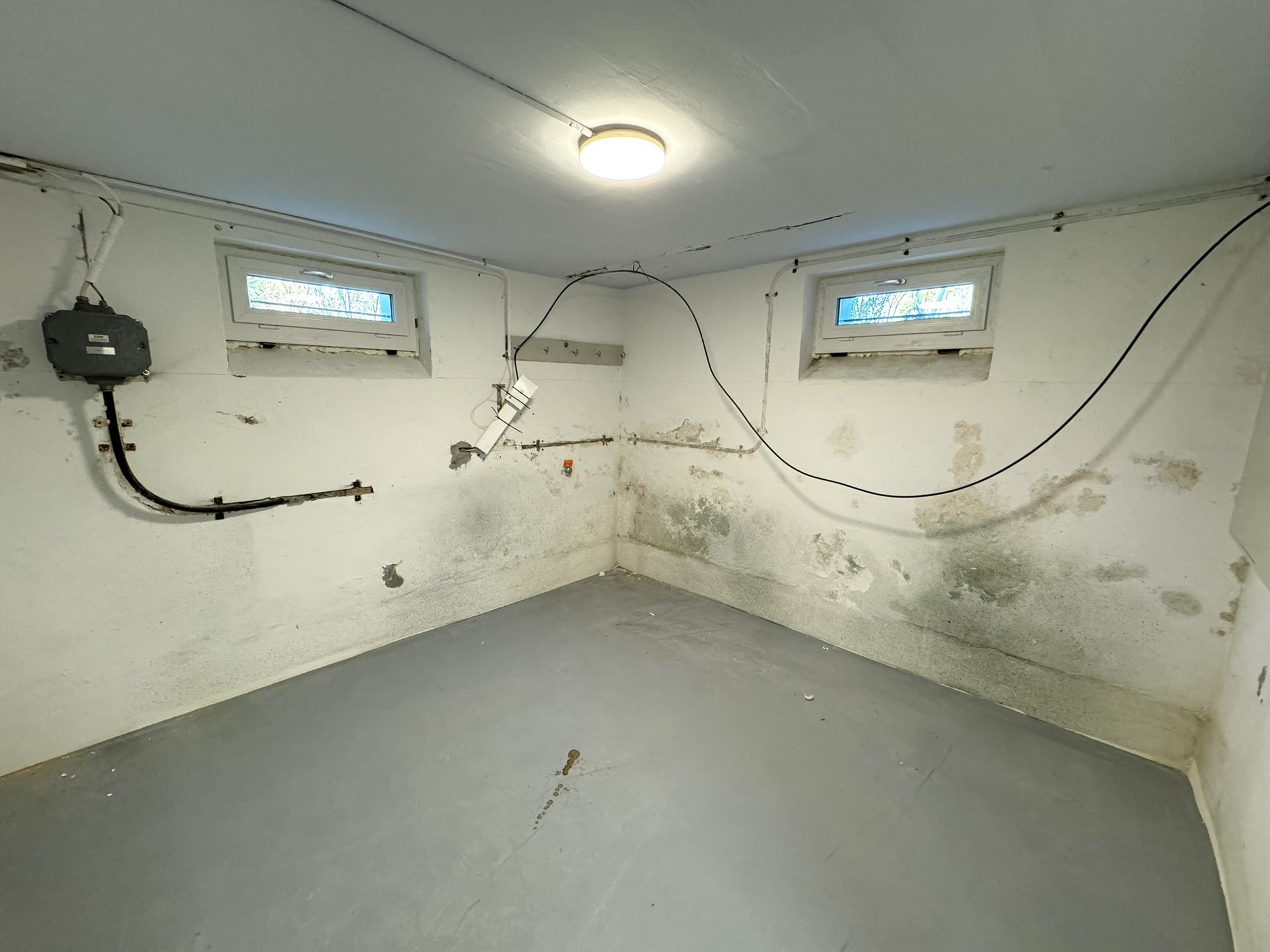 Kellerraum mit Flecken an Wand, zwei kleinen Fenstern und sichtbaren Kabeln.